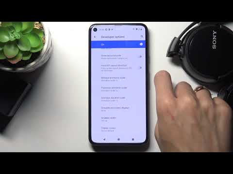 Developer Options on about GOOGLE Pixel 5 – Activate Developer Settings