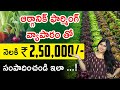 Organic Farming Business In Telugu - How To Start Organic Farming? Vegetables & Green Leaves Farming