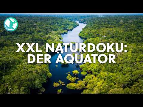 5h+ Atemberaubender Äquator: Das Naturspektakel an der Linie des Lebens | Naturdoku