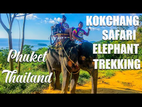 KOK CHANG SAFARI TREKKING DE ELEFANTE EM PHUKET TAILÂNDIA | GUIA DE VIAGEM PHUKET | ASSISTA ANTES DE IR!