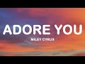 Miley Cyrus Adore You Lyrics