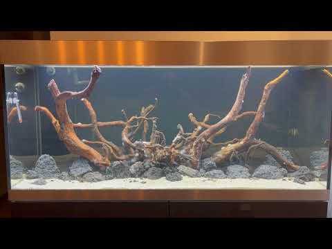 Oase Highline 300 - Update - Einlaufphase