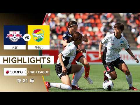 bg-highlight