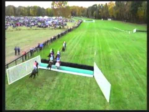 All The Way Jose, 2014 Foxbrook Champion Hurdle