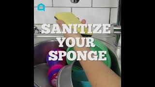 How to Sanitize a Sponge in Less Than a Minute