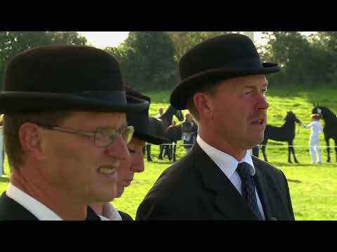 The Black Miracle, de geschiedenis van het Friese paard