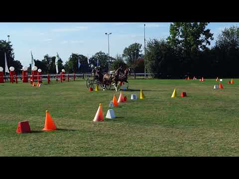 Fahrturnier Ostenfelde 14.8.2021