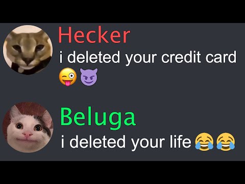 When Beluga Deleted Hecker's Life...