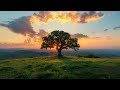 Chillout Music 2024 | Michael FK - Summer Mix [3 Hours]