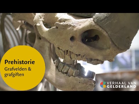 Prehistorie | Verhaal van Gelderland