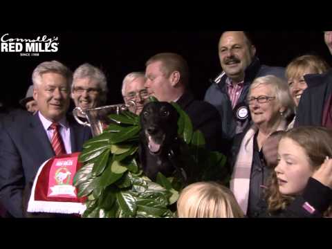 2014 Connolly's RED MILLS Irish Laurels Final