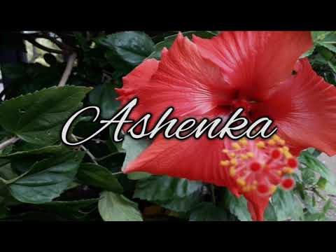 ☆DJ LYVENS X RICHARD FLASH & LISE'K - W E N D I A •[Remix15]•