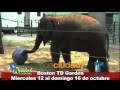 RINGLING BROTHERS AND BARNUM AND BAILEY