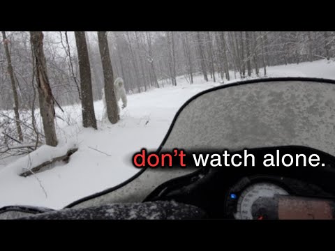 6 Most Disturbing Yeti Encounters Caught Whilst Hiking