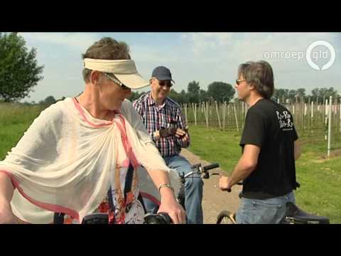 Groeten uit Gelderland  2 juli 2014