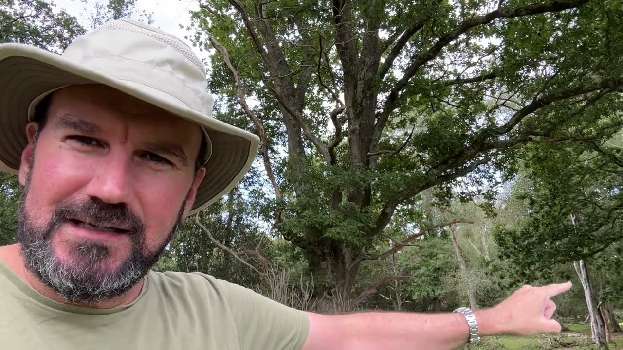 Reading Trees for Navigation   A Tip