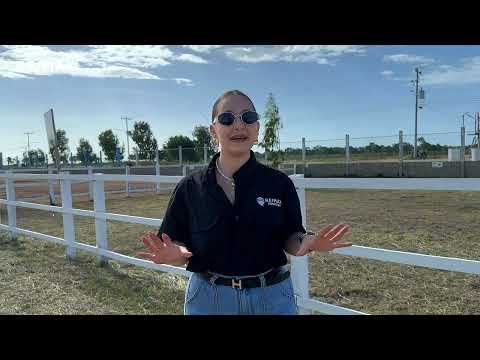 img-video