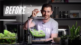NANO AQUASCAPE overgrown recovery! DOOA 20x20x20cm