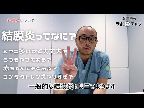 犬の結膜炎 – 認識し、治療し、予防します。