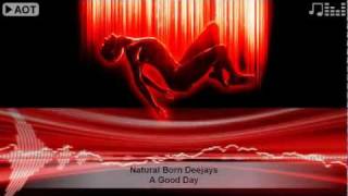 Natural Born Deejays - A Good Day