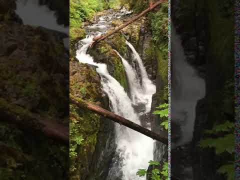 The Falls at Sol Duc! It's worth the hike even if you don't wind up getting a campsite here.