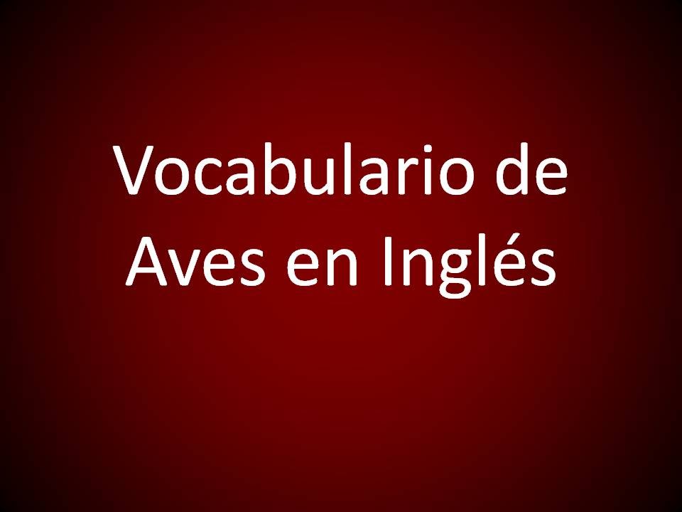 Inglés Americano - Vocabulario de Aves (Lección 353)
