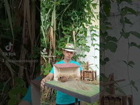 Mini engenho de cana-de-açu movido a tração animal #miniatura#minasgerais