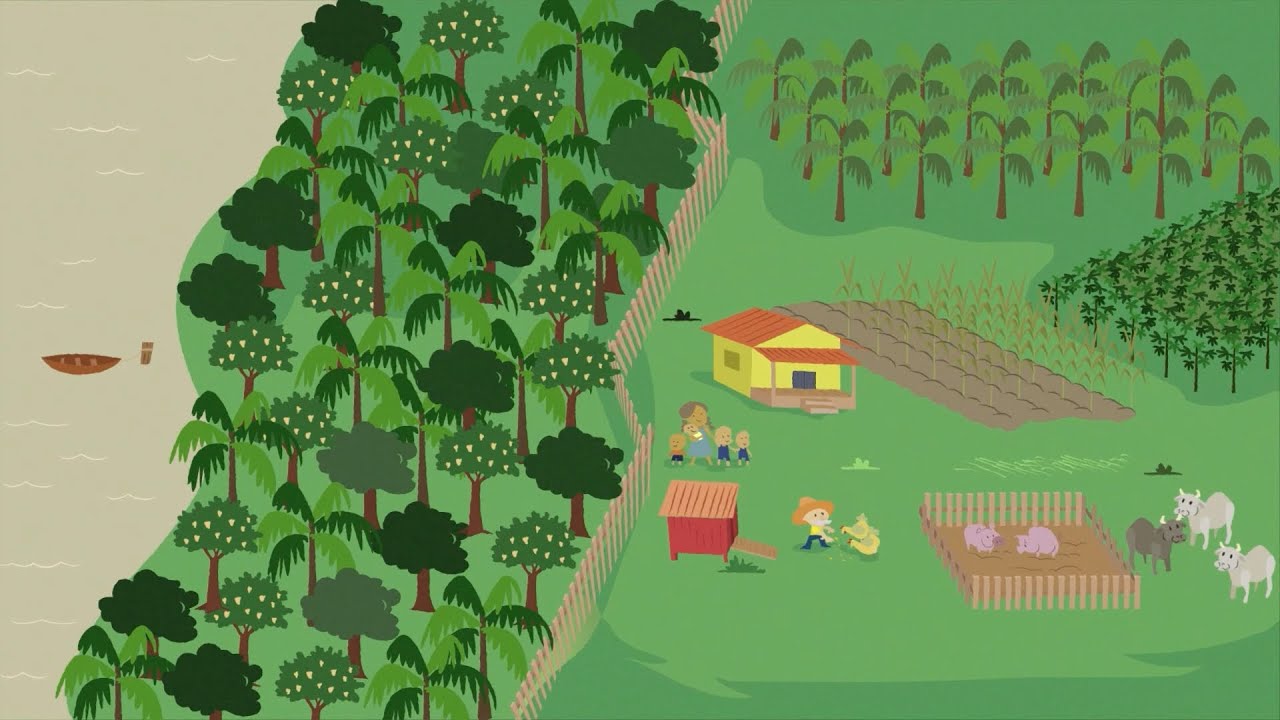 Seu João e a restauração florestal