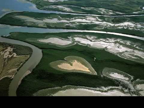 NUMA LA KERMESSE - One Step du Nord 1