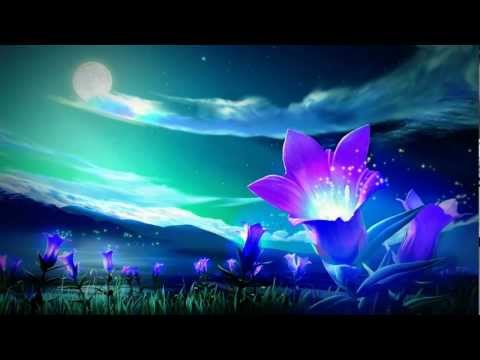 Singh Kaur - Spark In The Night [HD]