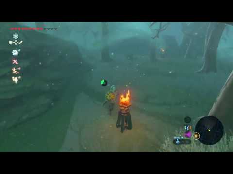 Lost Woods Route (no torch)