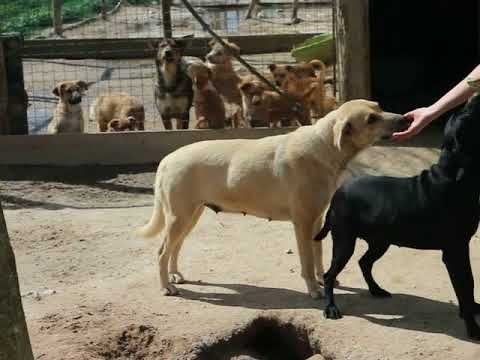 Vídeo de ANIELA