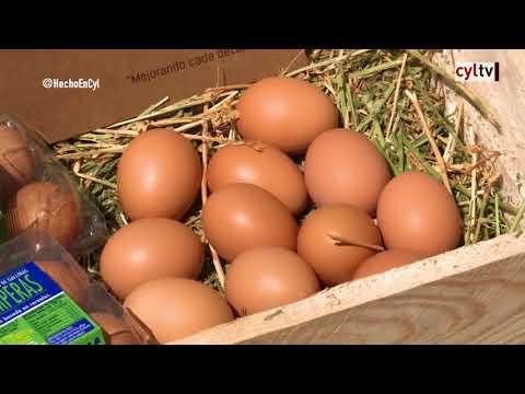 Fotograma del vídeo: Grupo Aguinaga en Burgos y Huevos Guillén en León