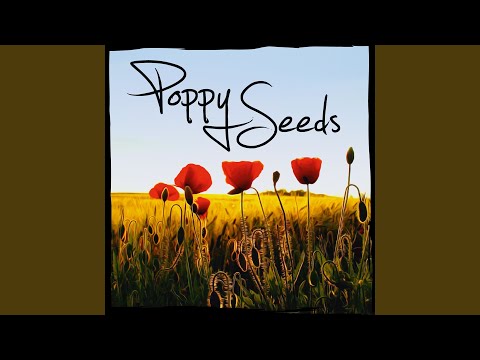 The Whistler Of Rosslea - The Rolling Waves