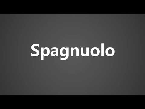 How To Pronounce Spagnuolo