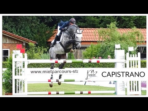 CAPISTRANO im S-Springen mit Stechen Avenwedde 2018