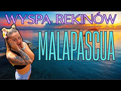 Malapascua bez biura podróży 🇵🇭 Autobus, prom i ceny ! Jedziemy po rekiny #187