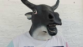 Bolsonaro com soluços e depressivo, mas a galinha não deixa de voar...