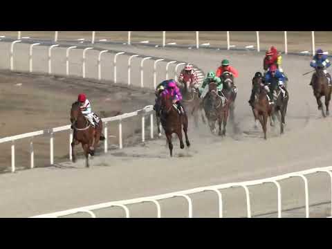 2022.03.20. 05. futam - NYERETLENEK VERSENYE (V.kat.) (szintetikus pálya)