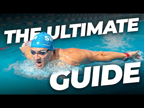 Everything You Need To Know About Butterfly