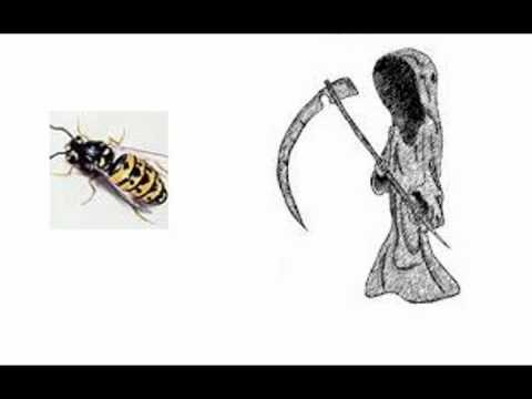 Lapsenes Nāve  ~1974 - soviet funk rock