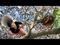 Female Finds Dog Food And Kitchen Chicken Recipe