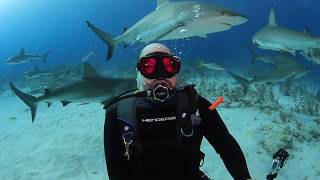 Dave B's Jan. 7, 2018 Shark Dive at Stuart Cove Dive Center