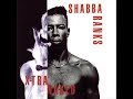 Shabba Ranks Ting A Ling