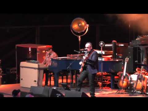 Elvis Costello (Rivierenhof Deurne 02/07/2018)