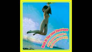Acid Mothers Temple & The Melting Paraiso U.F.O. - Myth Of The Love Electrique