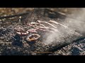 Figa Flawas ft. Alba Armengou - FILET