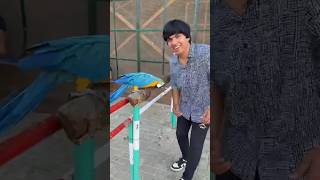 Download lagu Waleed β€οΈ SW PET house #swpetshouse #mamu. beautiful mp3 Download lagu Waleed β€οΈ SW PET house #swpetshouse #mamu. beautiful mp3