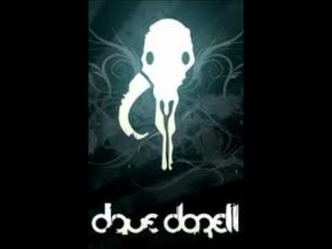 Scotty   The Black Pearl  Dave Darell Radio Edit