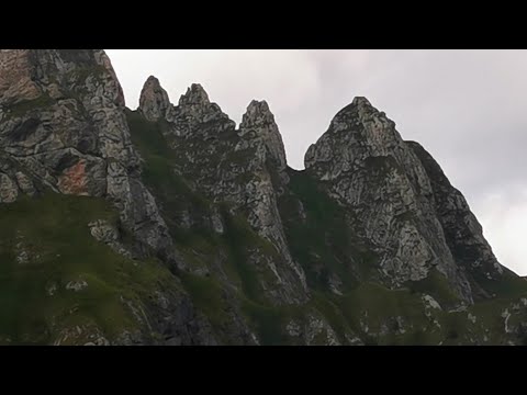 Acele Morarului 7 august 2024 🙂